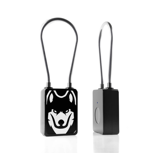 Fingerprint Padlock for Outdoor Locks