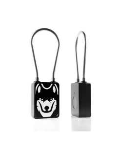 Fingerprint Padlock for Outdoor Locks
